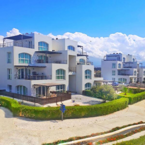 Hotels in Ghaziveran